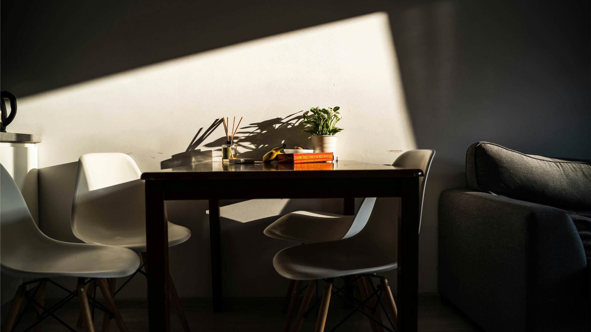 Sonnenbeschienener Esstisch mit Büchern und Pflanze, gemütliches Ambiente für Getting-Ready-Fotos in Köln.